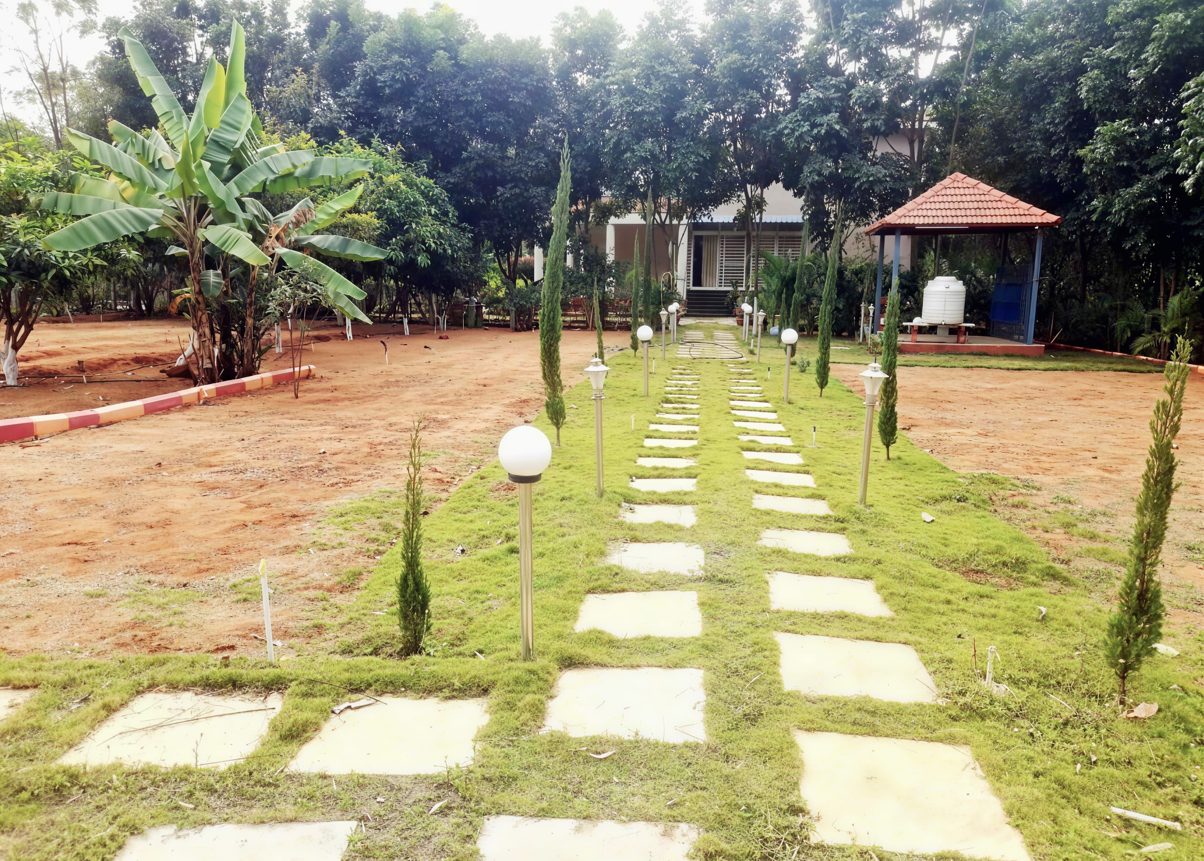 Main Path